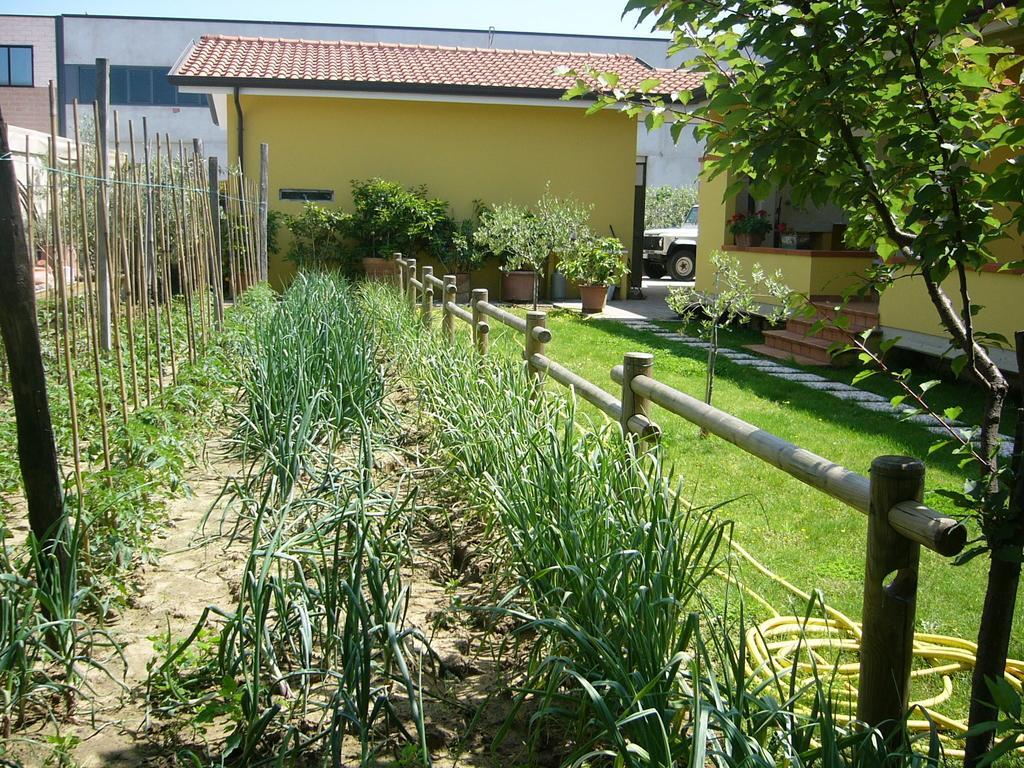 Bed and Breakfast Nonna Alda à Viareggio Chambre photo