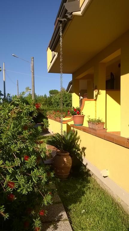 Bed and Breakfast Nonna Alda à Viareggio Extérieur photo