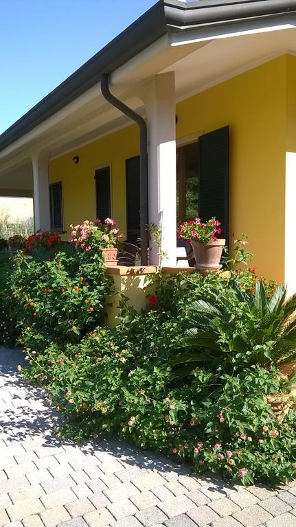 Bed and Breakfast Nonna Alda à Viareggio Extérieur photo
