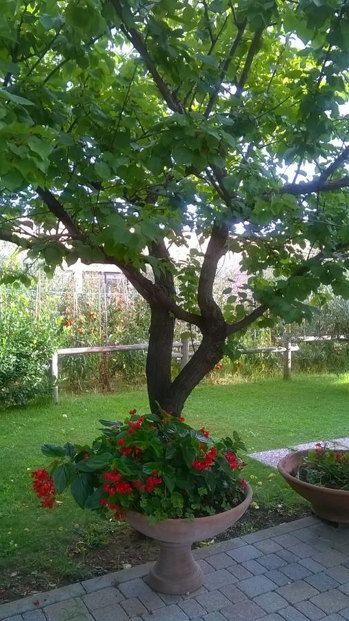 Bed and Breakfast Nonna Alda à Viareggio Chambre photo
